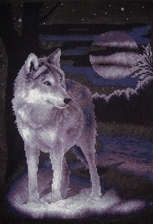 Набор для вышивания «Белый волк»