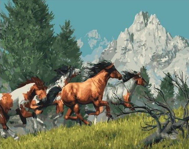 Картина по номерам «Табун лошадей»