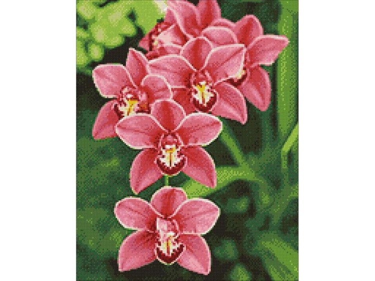 Алмазная вышивка «Цимбидиум» — картинка 3