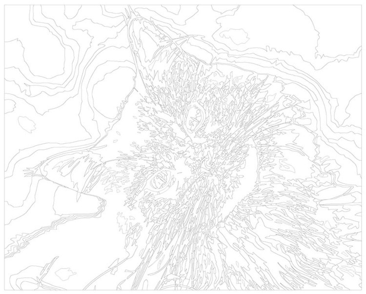 Картина по номерам «Кошачье любопытство» — картинка 3