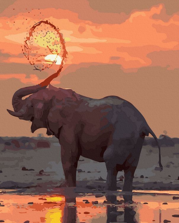 Картина по номерам «Африканский слон»