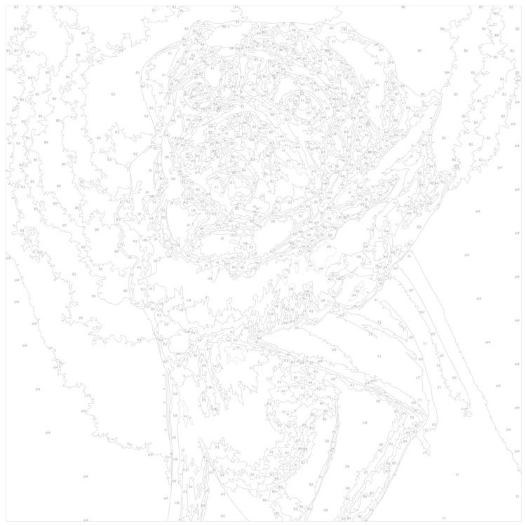 Картина по номерам «Мопс-аристократ» — картинка 3