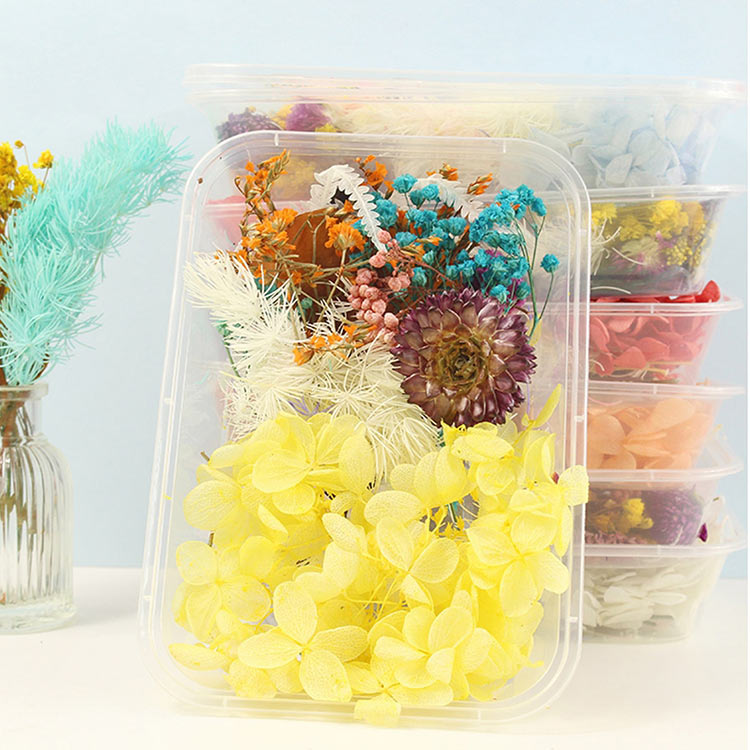 Набор сухоцветов, 1 упаковка — картинка 7