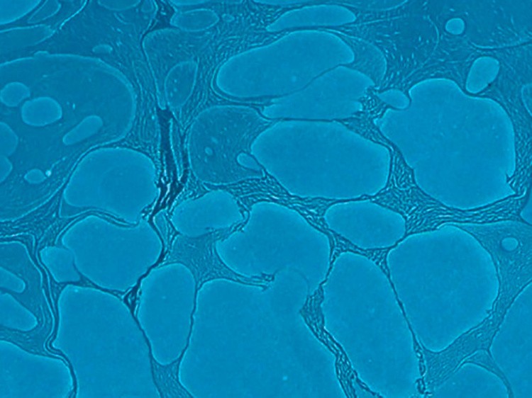 Краска для эбру бирюзовая 30 мл, Karin — картинка 3