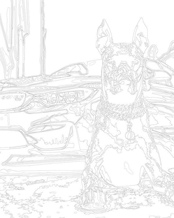 Картина по номерам «Машина BMW и собака доберман чернобелая» — картинка 3