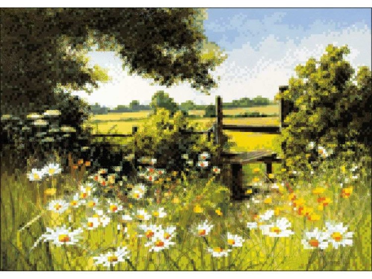 Алмазная вышивка «Поле ромашек» — картинка 2