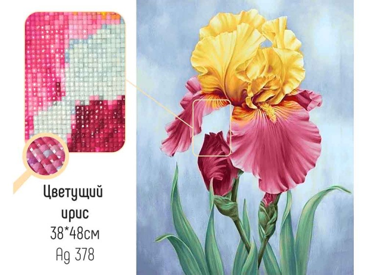 Алмазная вышивка «Цветущий ирис» — картинка 2