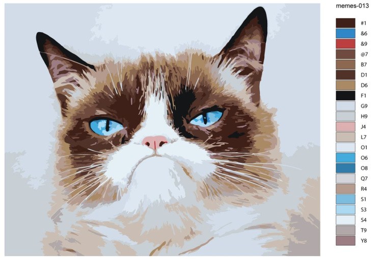 Картина по номерам «Мем: Grumpy cat / Грампи кэт, грустный кот» — картинка 2