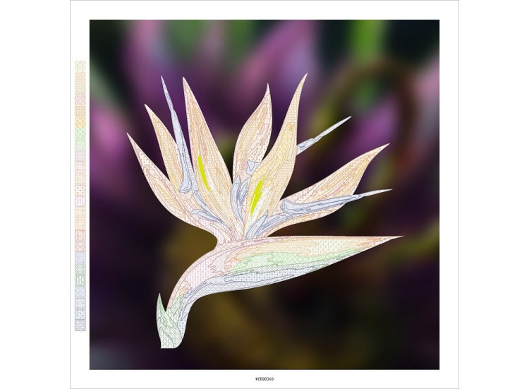 Картина по номерам «Райская птица, стрелиция» — картинка 2