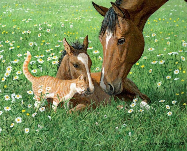 Картина по номерам «Жеребенок в поле» — картинка 2