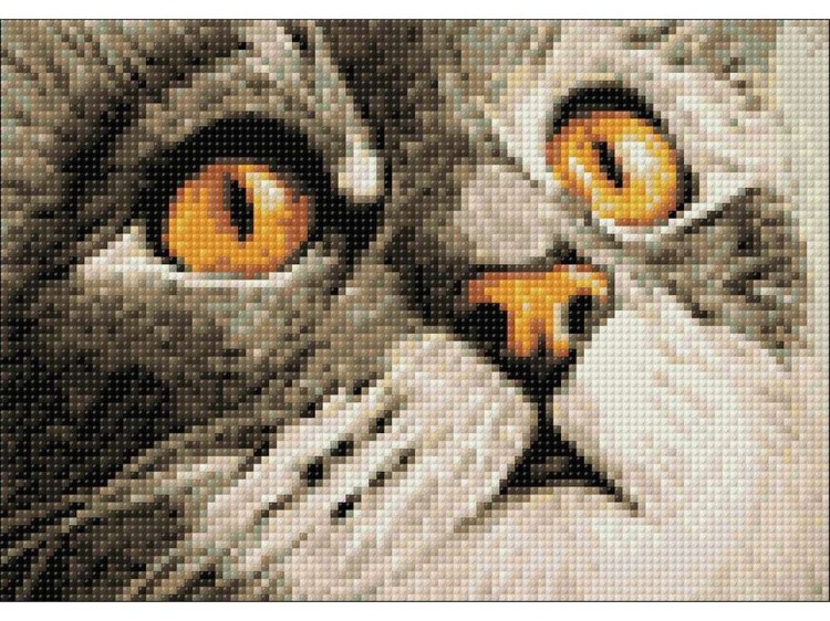 Алмазная вышивка «Изумление» — картинка 3