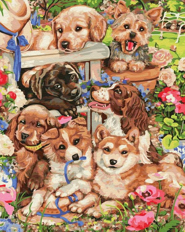 Картина по номерам «Собачье счастье»