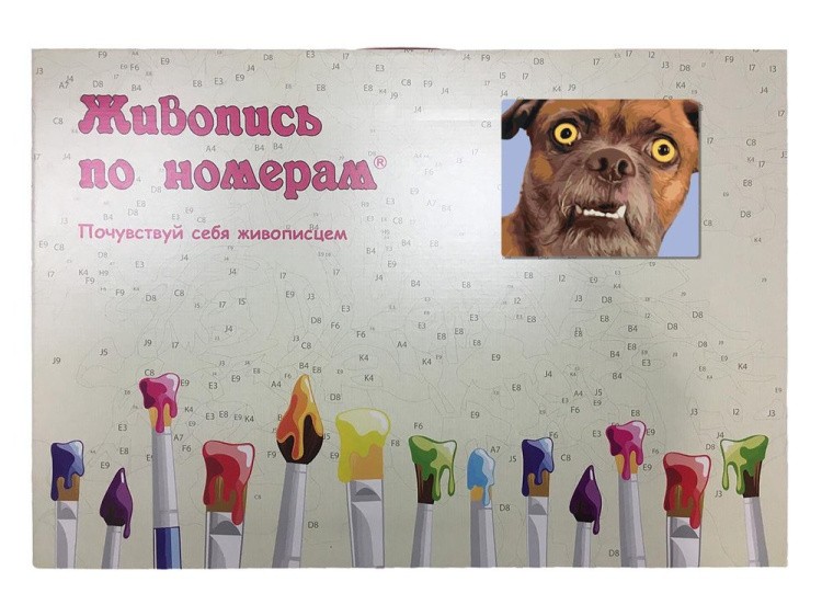 Картина по номерам «Смешная собака» — картинка 5