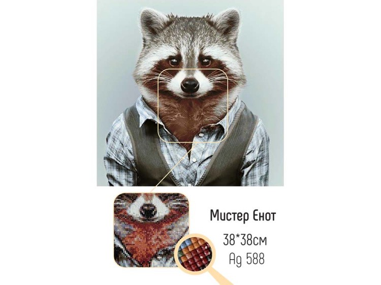 Алмазная вышивка «Мистер Енот» — картинка 2