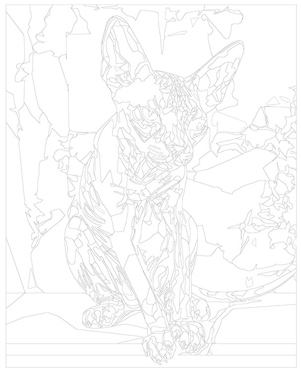 Картина по номерам «Породистый кот сфинкс» — картинка 3