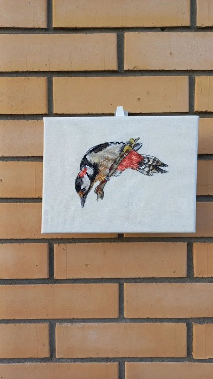 Набор для вышивания «Пёстрый дятел» — картинка 4