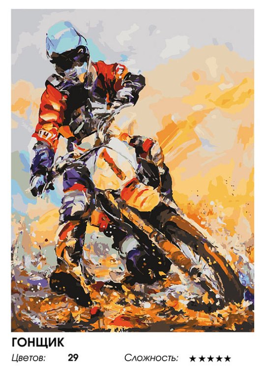 Картина по номерам «Гонщик» — картинка 2