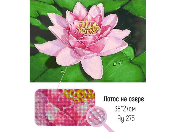 Алмазная вышивка «Лотос на озере» — картинка 2