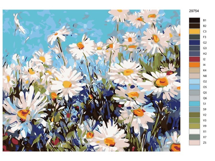 Картина по номерам «Полевые ромашки» — картинка 2