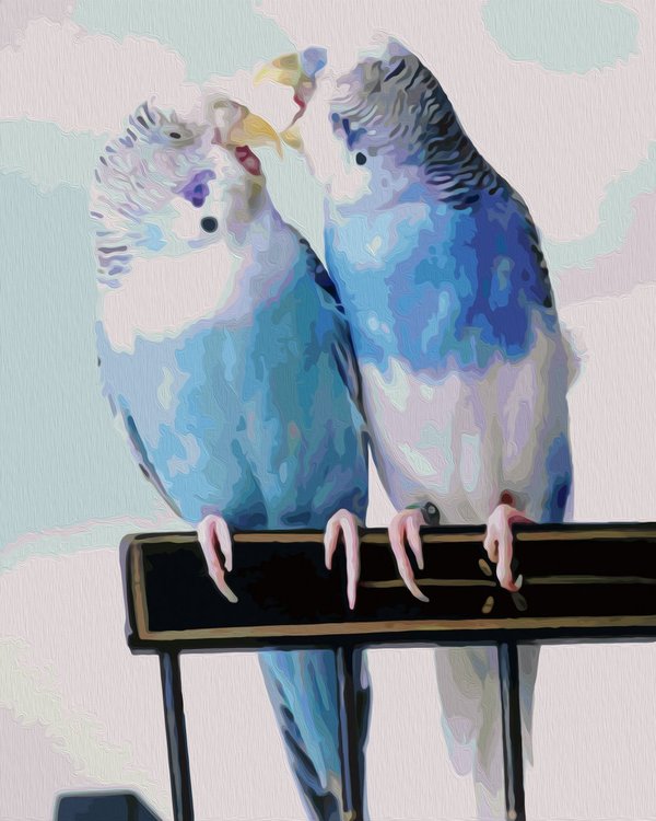 Картина по номерам «Попугайчики волнистые»