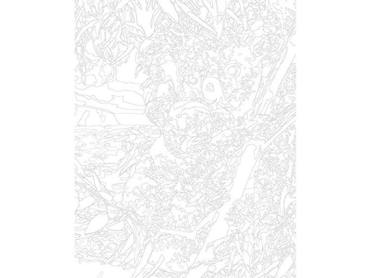 Картина по номерам «Коалы» — картинка 3