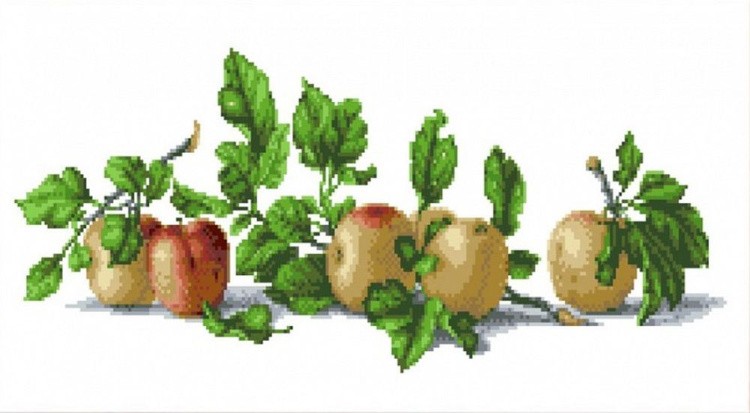Рисунок на ткани «Натюрморт с яблоками»
