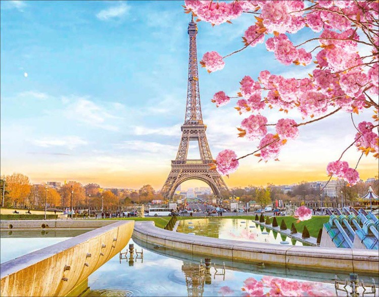 Алмазная вышивка «Цветущий Париж»