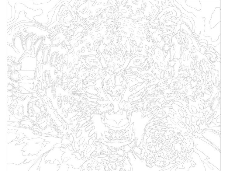 Картина по номерам «Ярость леопарда» — картинка 3