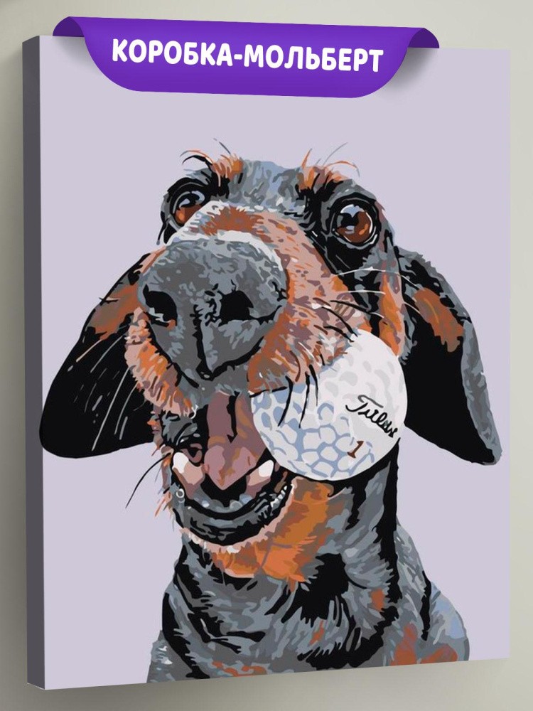 Картина по номерам «Любитель гольфа»