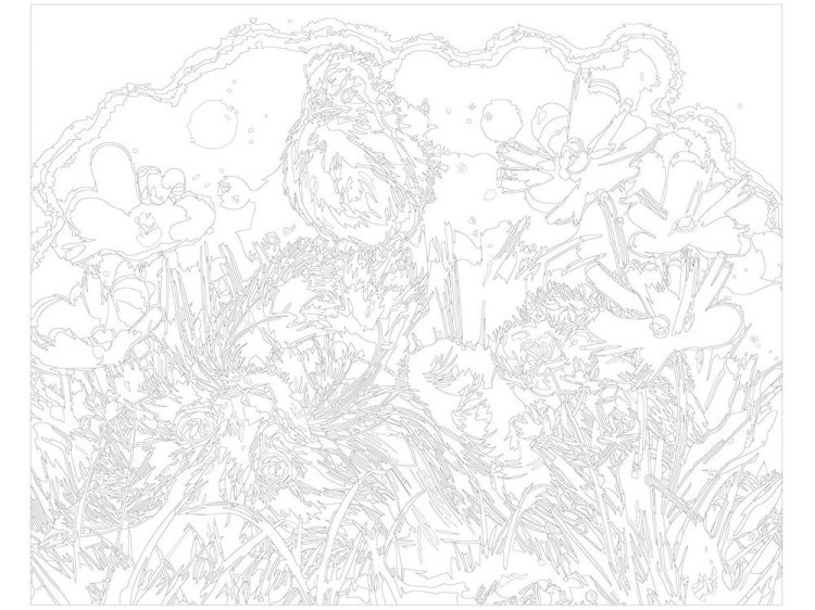 Картина по номерам «Котёнок и цыплёнок» — картинка 3