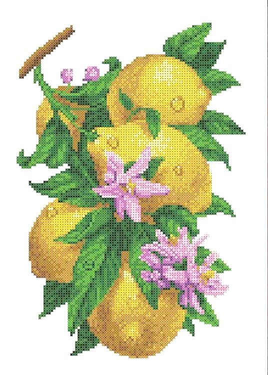 Рисунок на ткани «Ветка с лимонами»