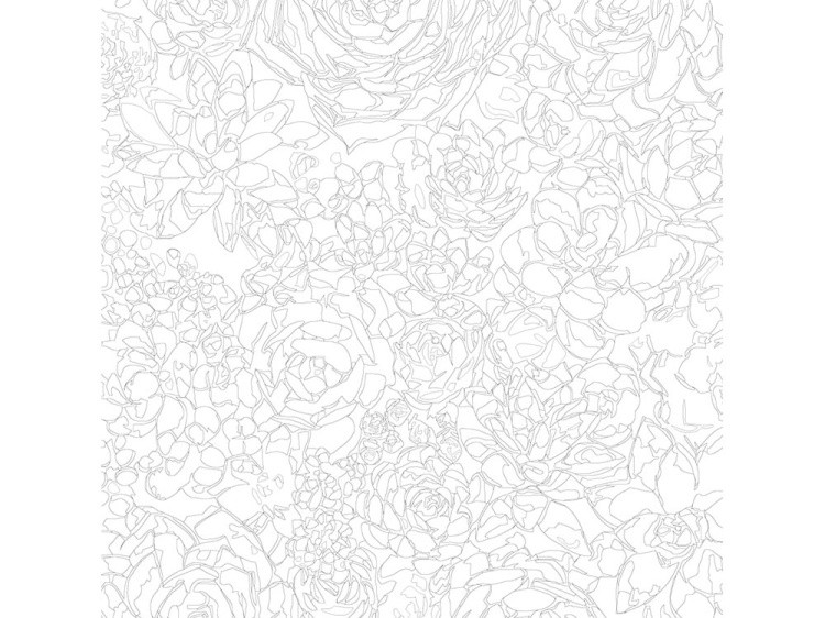 Картина по номерам «Сад суккулентов» — картинка 3