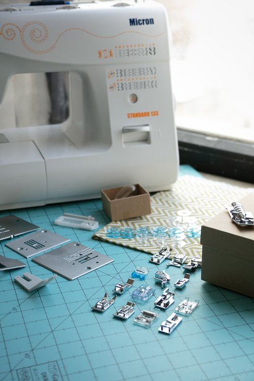 Лапка рубильник, Micron — картинка 4