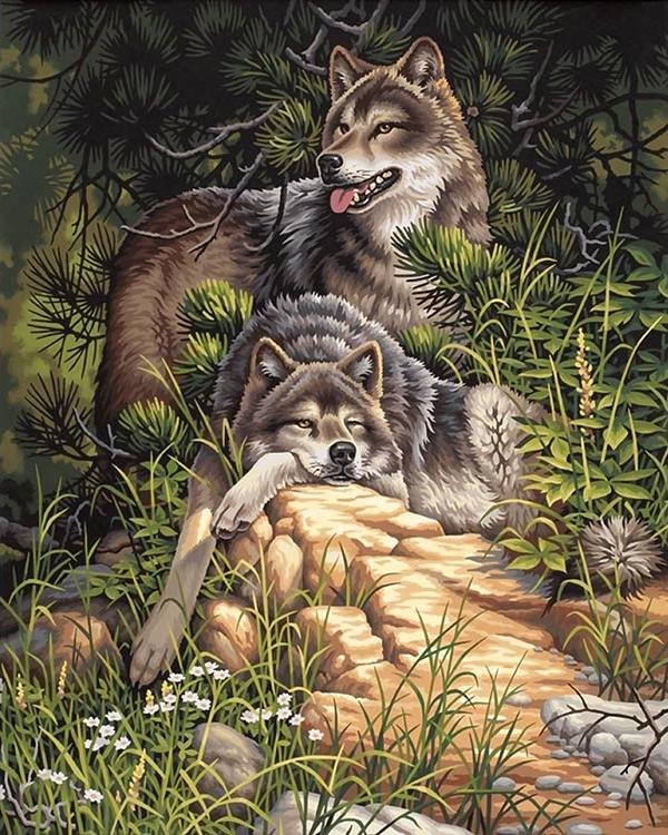 Картина по номерам «Дикие и свободные волки»