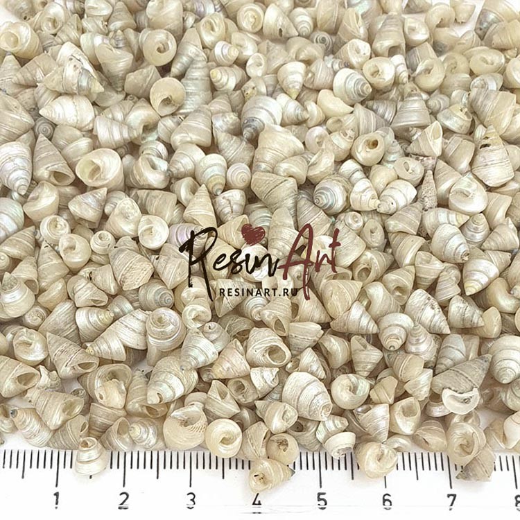 Ракушки Тайни шелл, 100 г, ResinArt