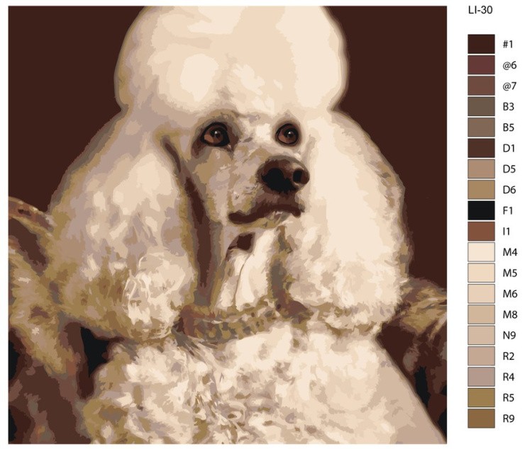 Картина по номерам «Пудель» — картинка 2