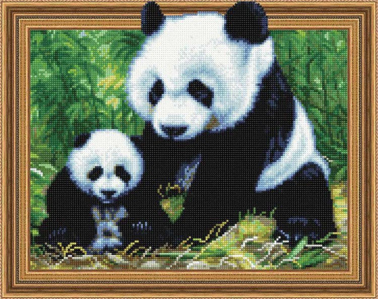Алмазная вышивка «Панды в лесу»