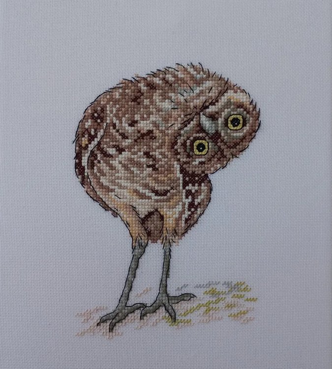 Набор для вышивания «Воробьиный сычик» — картинка 5