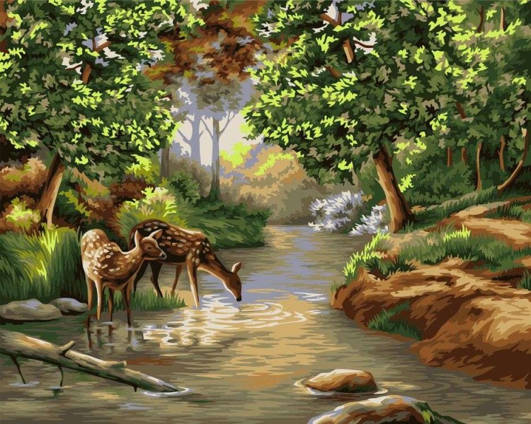 Картина по номерам «Утро в лесу»