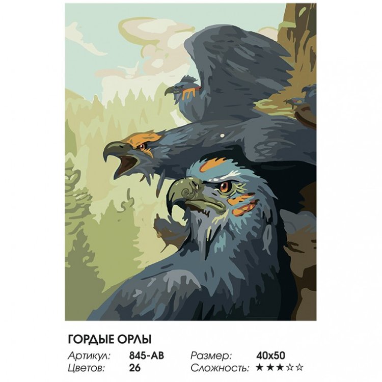 Картина по номерам «Гордые орлы» — картинка 2