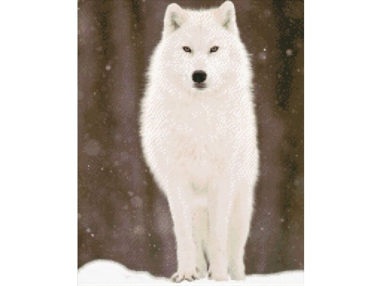 Алмазная вышивка «Белый волк» — картинка 2