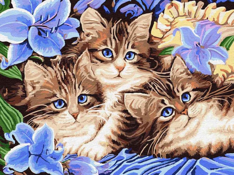 Картина по номерам «Котята в цветах»