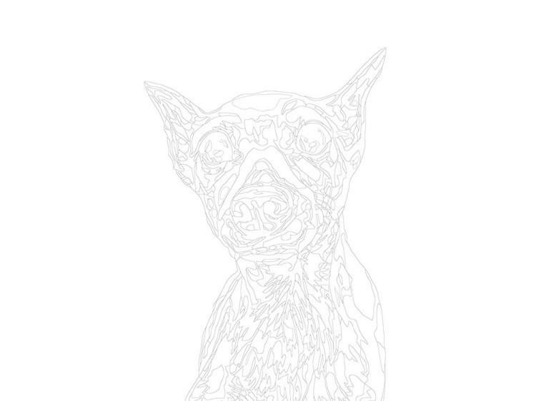 Картина по номерам «Оззи» — картинка 3