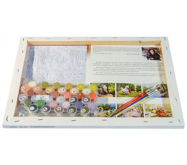 Картина по номерам «В ромашковом краю» — картинка 3