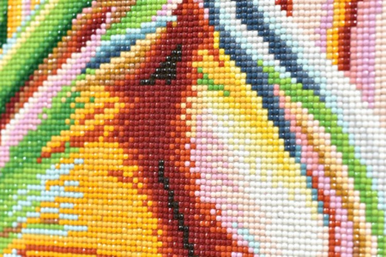 Алмазная вышивка «Пряное лето» — картинка 6