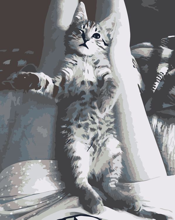 Картина по номерам «Игривый серый котенок»