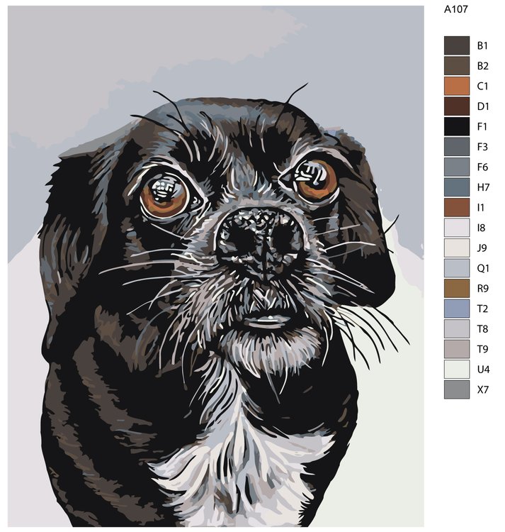 Картина по номерам «Белла» — картинка 2