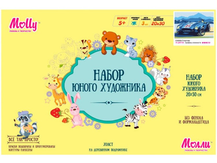 Картина по номерам «Спорткар» — картинка 2