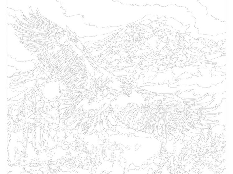 Картина по номерам «Полёт орла» — картинка 3