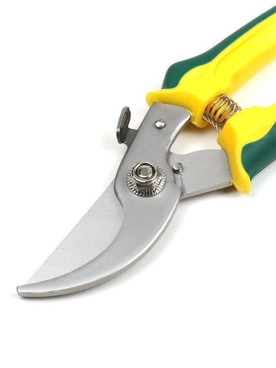 Секатор Maxwell изогнутое лезвие, 60/200 мм, ручки желто-зеленый пластик — картинка 9